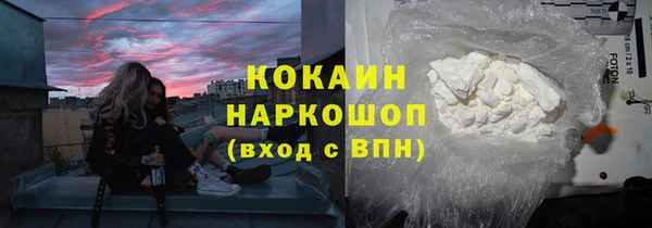 шишки Киренск