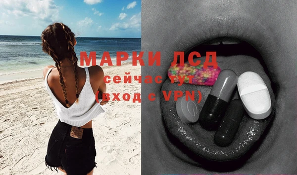 шишки Киренск