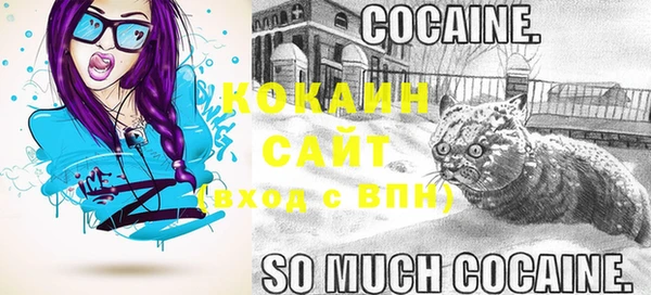 шишки Киренск
