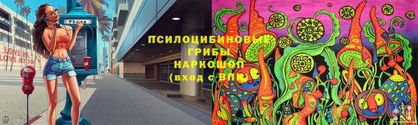 PSILOCYBIN Киреевск
