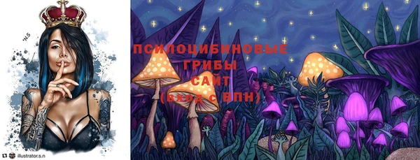 PSILOCYBIN Киреевск