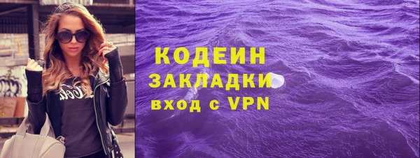 шишки Киренск