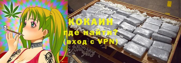 шишки Киренск