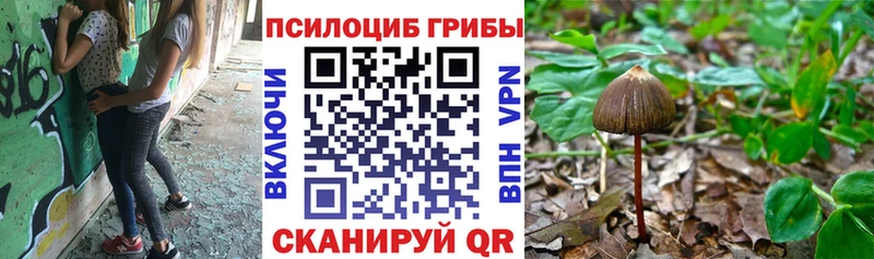 Купить  Биробиджан  Псилоцибиновые грибы MAGIC MUSHROOMS 
